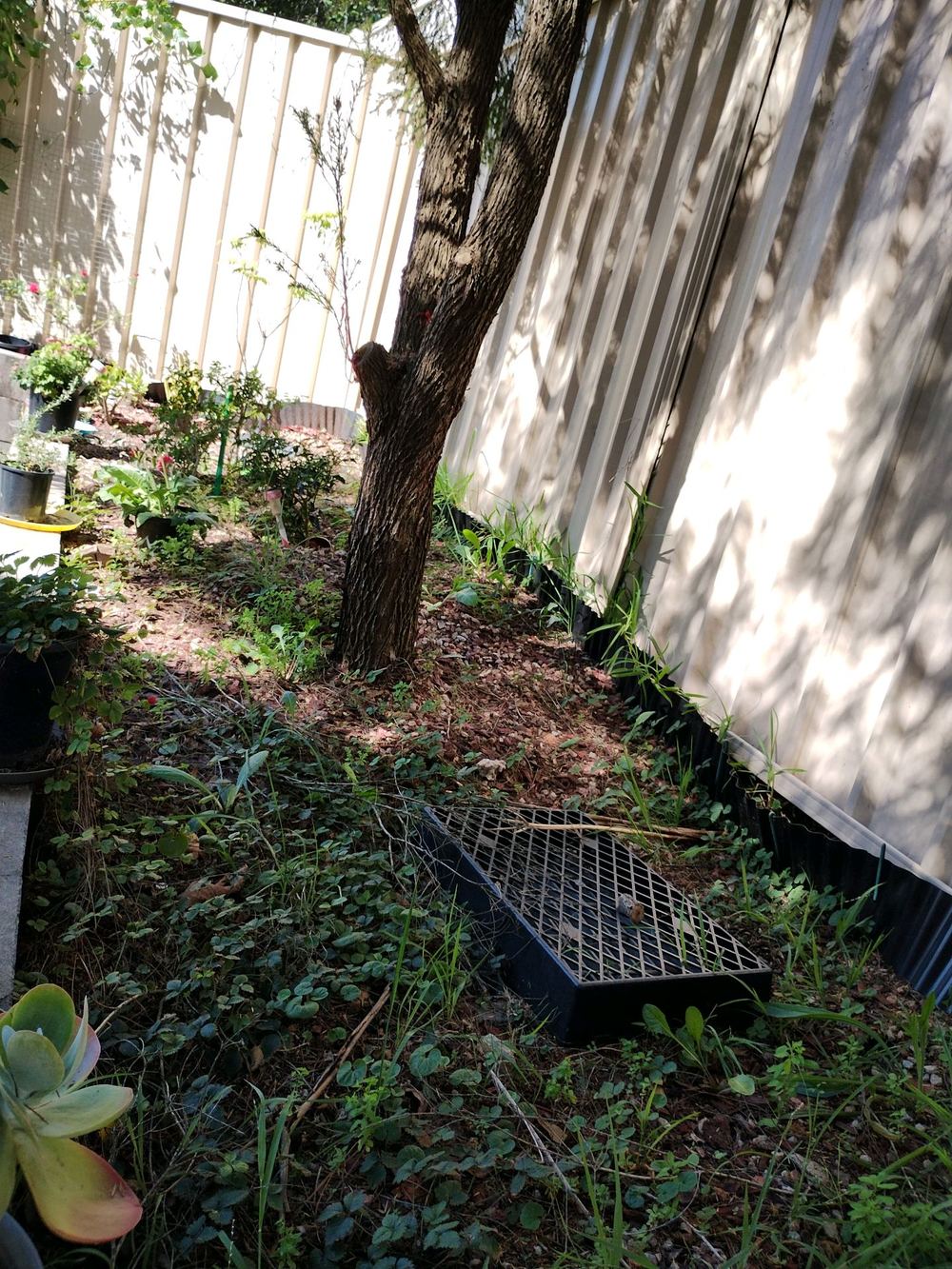 Moist soil and vegetation built up close to the house, a recorded termite risk, found during a building and pest inspection in Blacktown